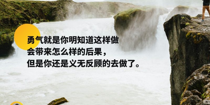 勇气就是你明明知道这样做会带来怎么样的后果, 但是你还是义无反顾的去做了