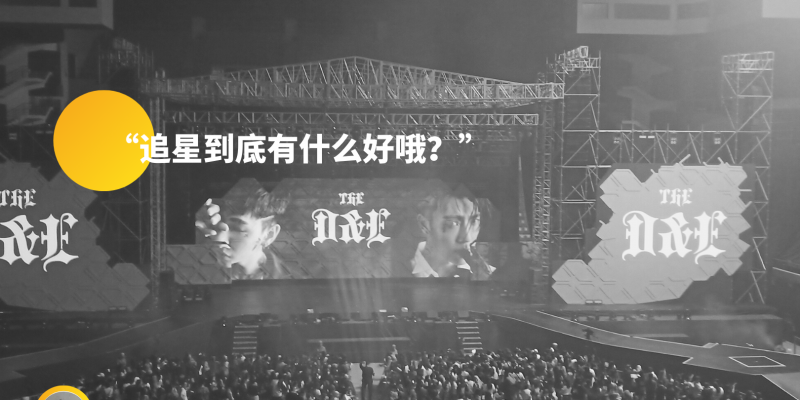 “追星到底有什么好哦?”
