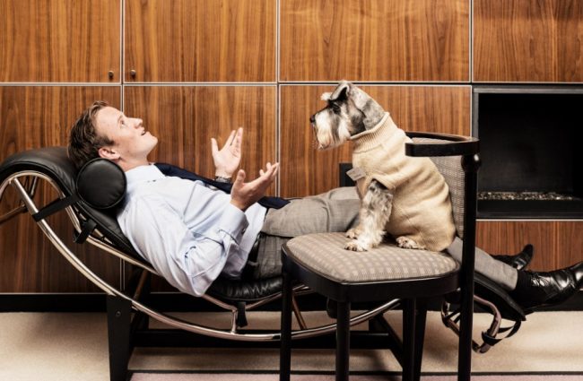 A patient is pictured talking through their worries to 'Dogtor' Schnauzer at the first-ever 'Dogtor's Surgery'. Held by MORE TH>N, it offers members of the public without a cat or a dog the chance to experience the stress-busting benefits of talking to one. It follows new research by MORE TH>N revealing how up to five million Brits will regularly choose to confide in their cats and dogs before friends, family and partners.