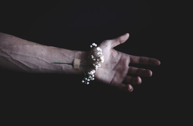 elijah-o-donnell-378334-unsplash